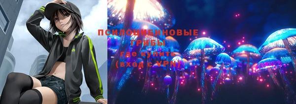 ГАЛЛЮЦИНОГЕННЫЕ ГРИБЫ Инта