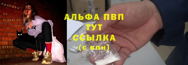ГАЛЛЮЦИНОГЕННЫЕ ГРИБЫ Инта