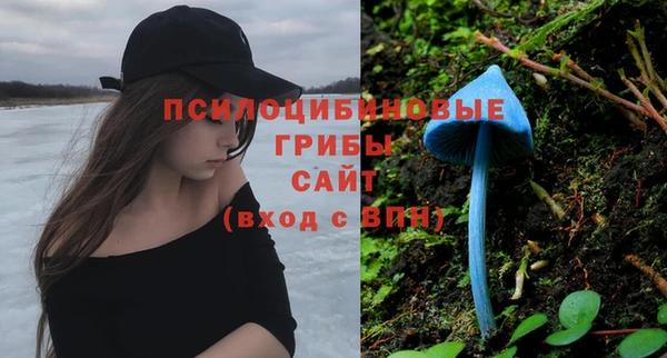 дурь Иннополис