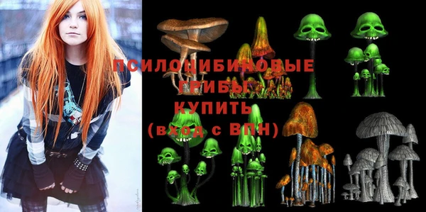 дурь Иннополис