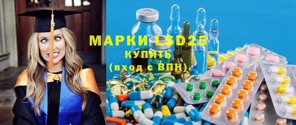 ГАЛЛЮЦИНОГЕННЫЕ ГРИБЫ Инта