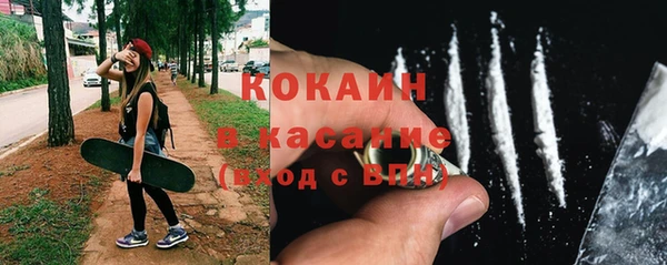 ГАЛЛЮЦИНОГЕННЫЕ ГРИБЫ Инта